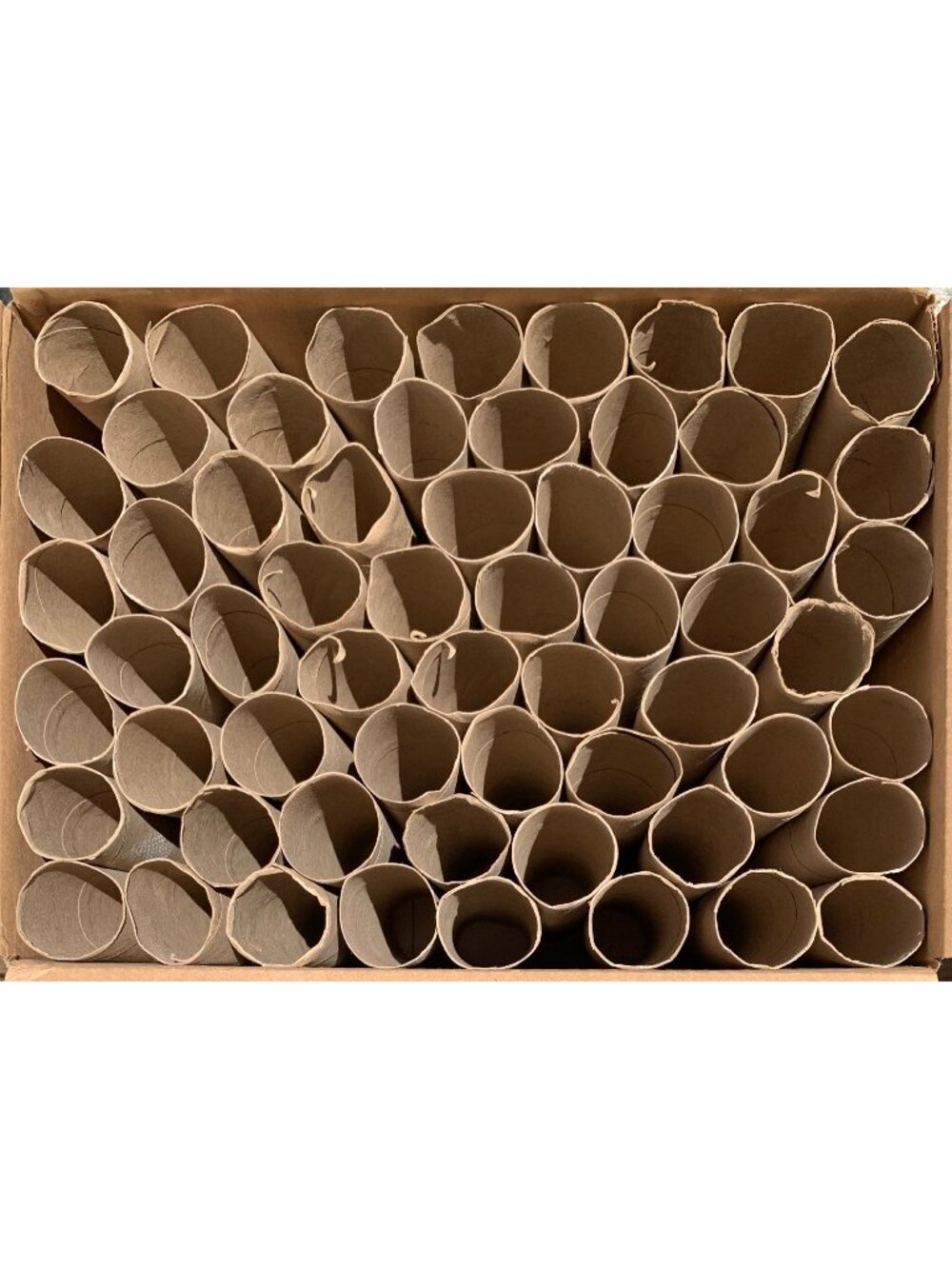 lot of 60 Empty Paper Towel Roll Tubes Clean Craft Art Project School Kids DIY